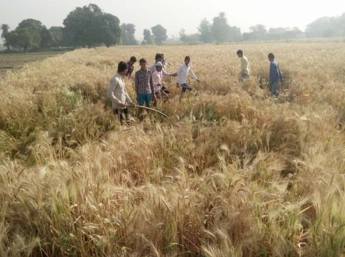 Leopard enters into village, rural panic