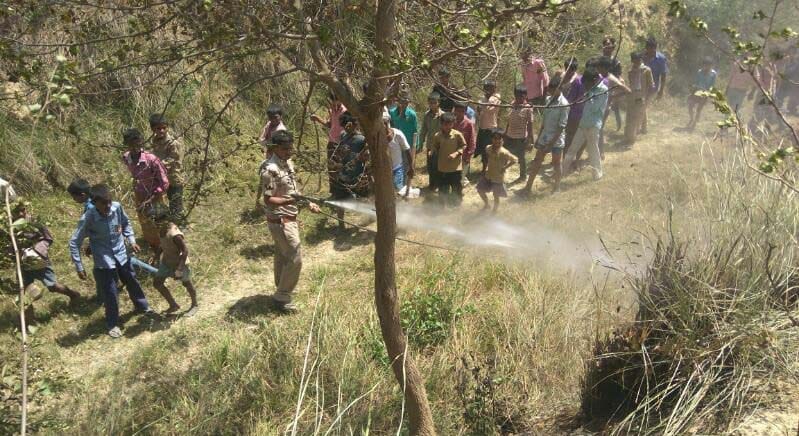 95 bighas of fire and many houses burnt