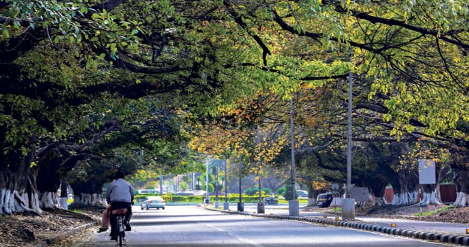 Chandigarh awarded by green and clean city