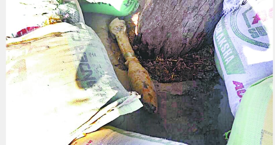 Bomb found during soil removed from canal