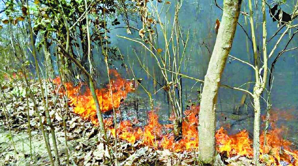 A fire in the forest of Sandwa and Hansarajpur