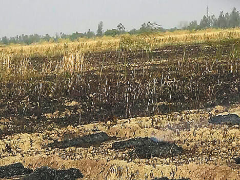 Chadki sticks, eight wounded in old rage