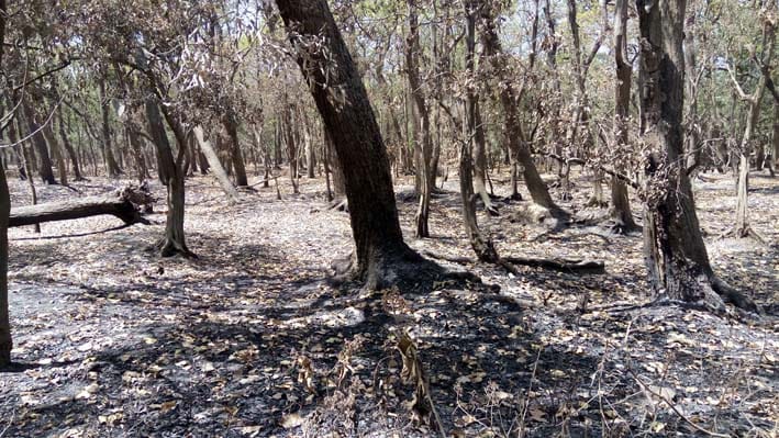 Completing the Venting Control in Tiger Reserve
