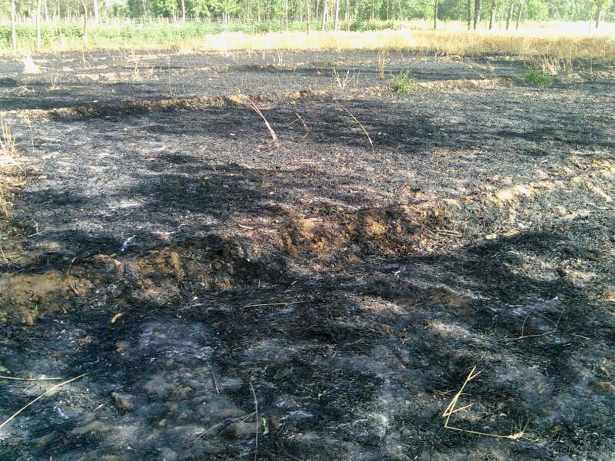 A fire with sparkling in HT stars, 19 bigha crop ash