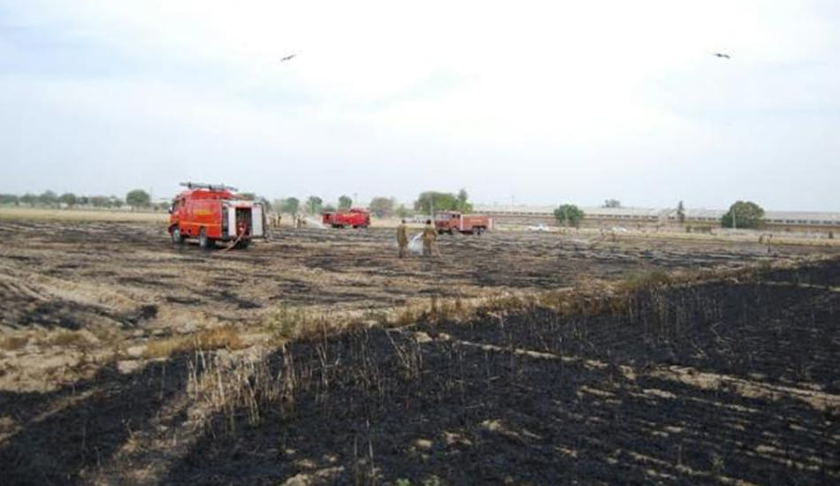50 bigha wheat crop from fire, ash