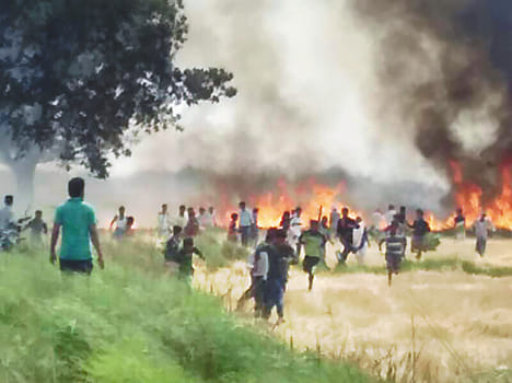 Two and a half bigha wheat crop from burning Bidhi