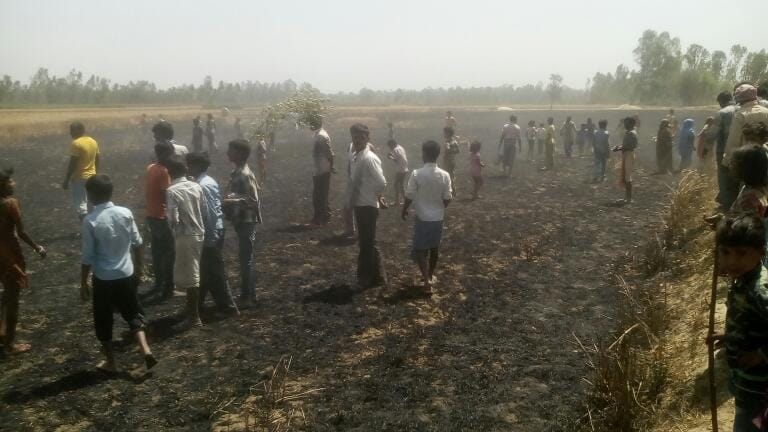  fire in a field of wheat crop.