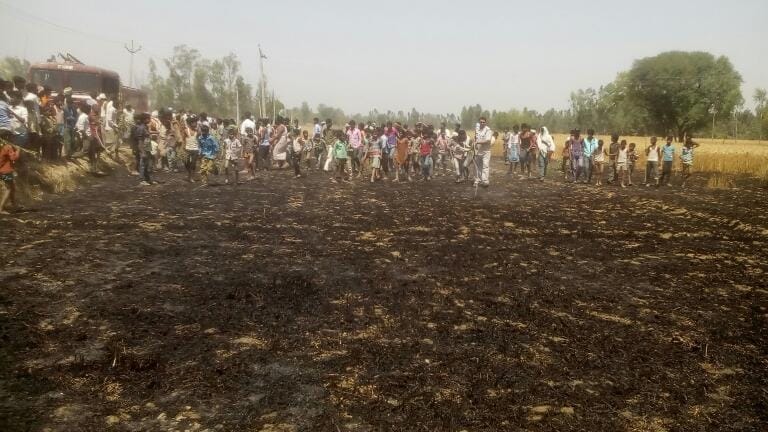  fire in a field of wheat crop.