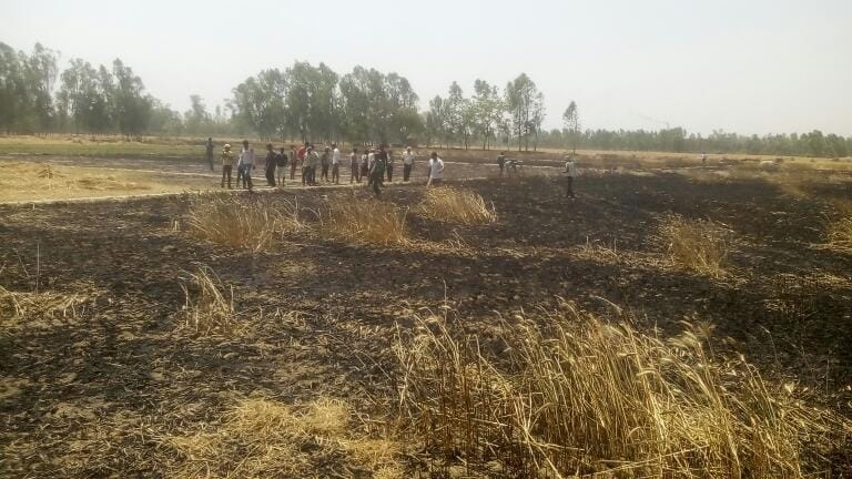  fire in a field of wheat crop.