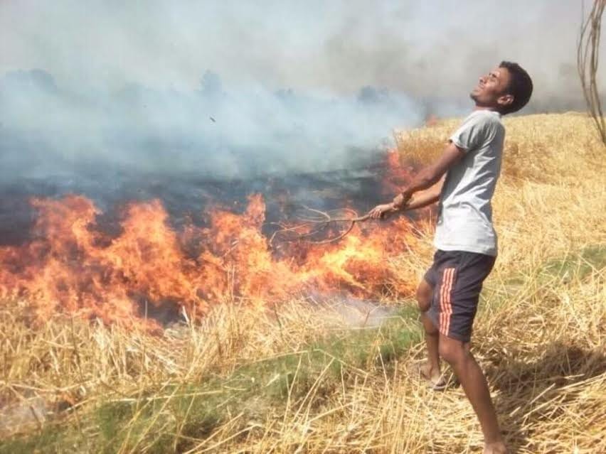 fire caught in wheat crop