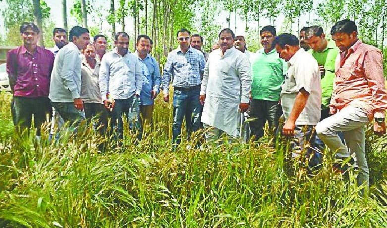 know Crop Damages