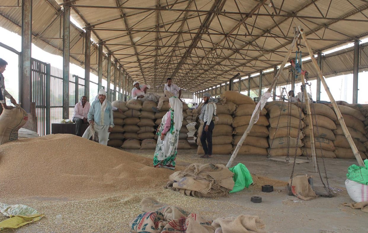 Government to buy six per cent of the compressed wheat