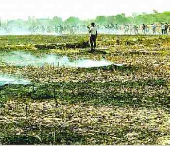 55 bigha crops and 17 houses destroyed