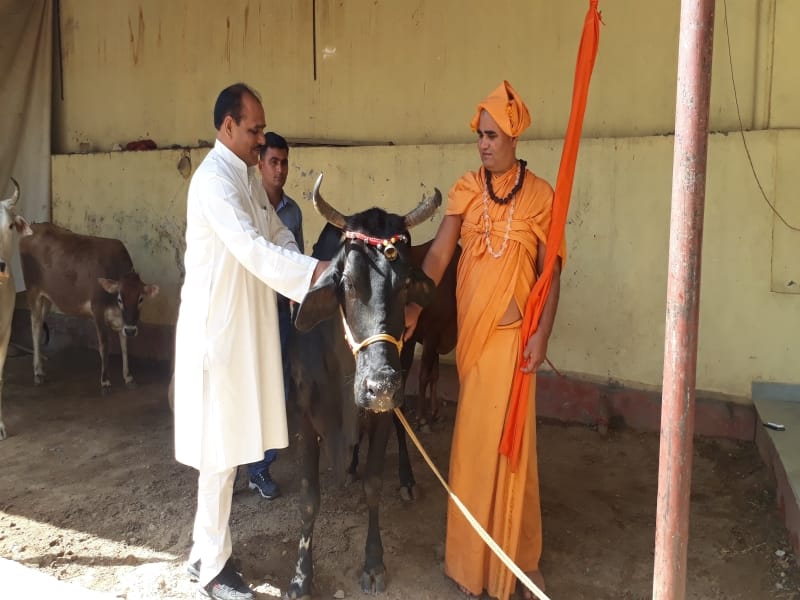 azam have returned the cow due to circumustances