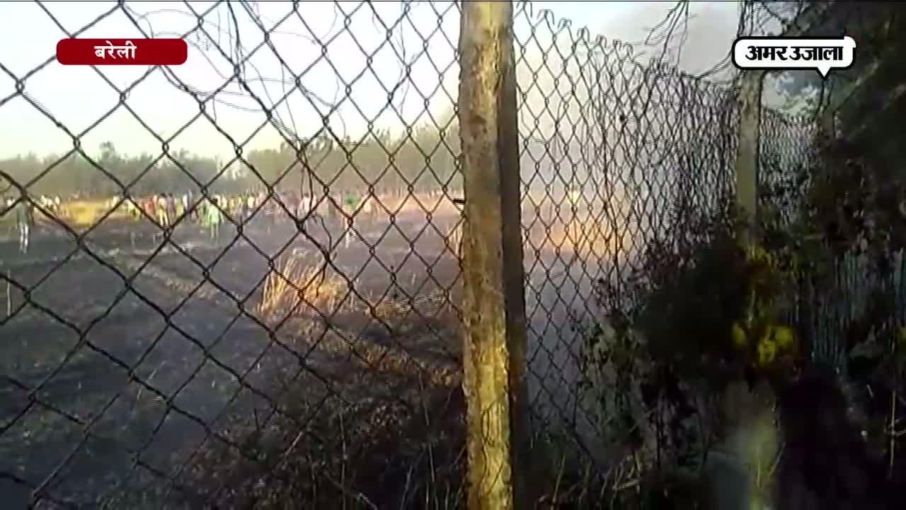 बरेली