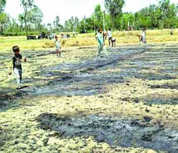 377 bigha wheat crop in arson
