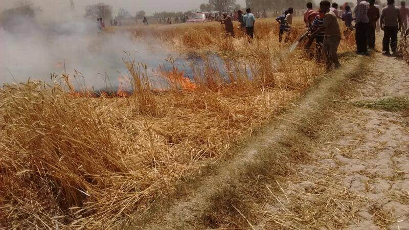three innocent child live burnt in fierce fire