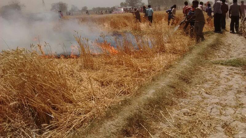 three innocent child live burnt in fierce fire