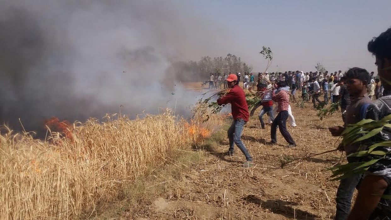 1,700 bigha wheat crop burnt by fire