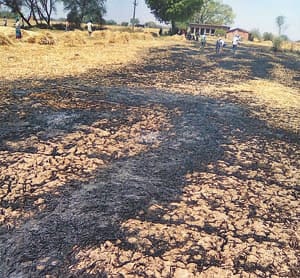 ramchandra farmer