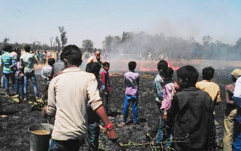 50 acre crop turn to ashes