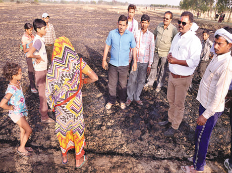 600 bigha wheat crop in four villages of Dadiyawan