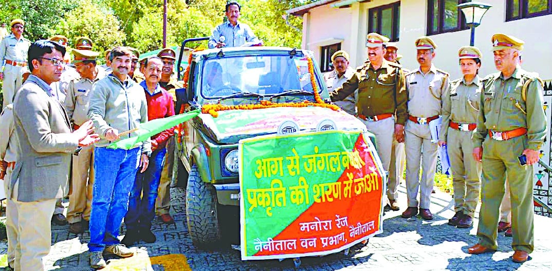 To save the forests from the fire