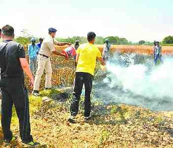 500 bigha crops and 55 houses burnt