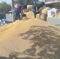 wheat, grain, market, broker, 