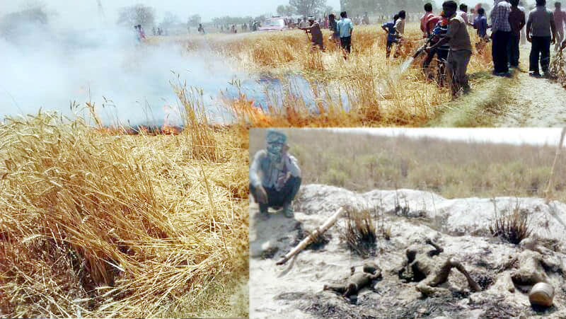 three innocent child live burnt in fierce fire