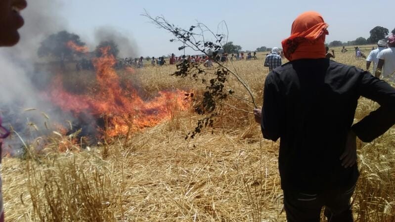 10 bigha wheat crop in Ballia Burnt