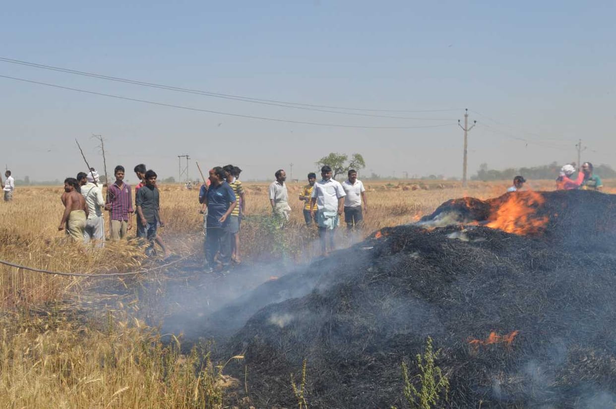 Fire from small circuits, several acres of cropped ash