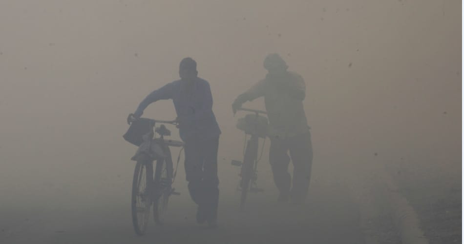 Fire in dumping ground dadumajra, chandigarh news