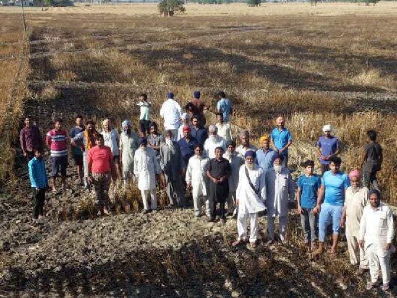 Fire, wheat crop burnt, victims demanded compensation, Patiala