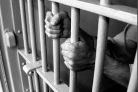 16 accused detain in alwar lunching case pahloo khan murder 