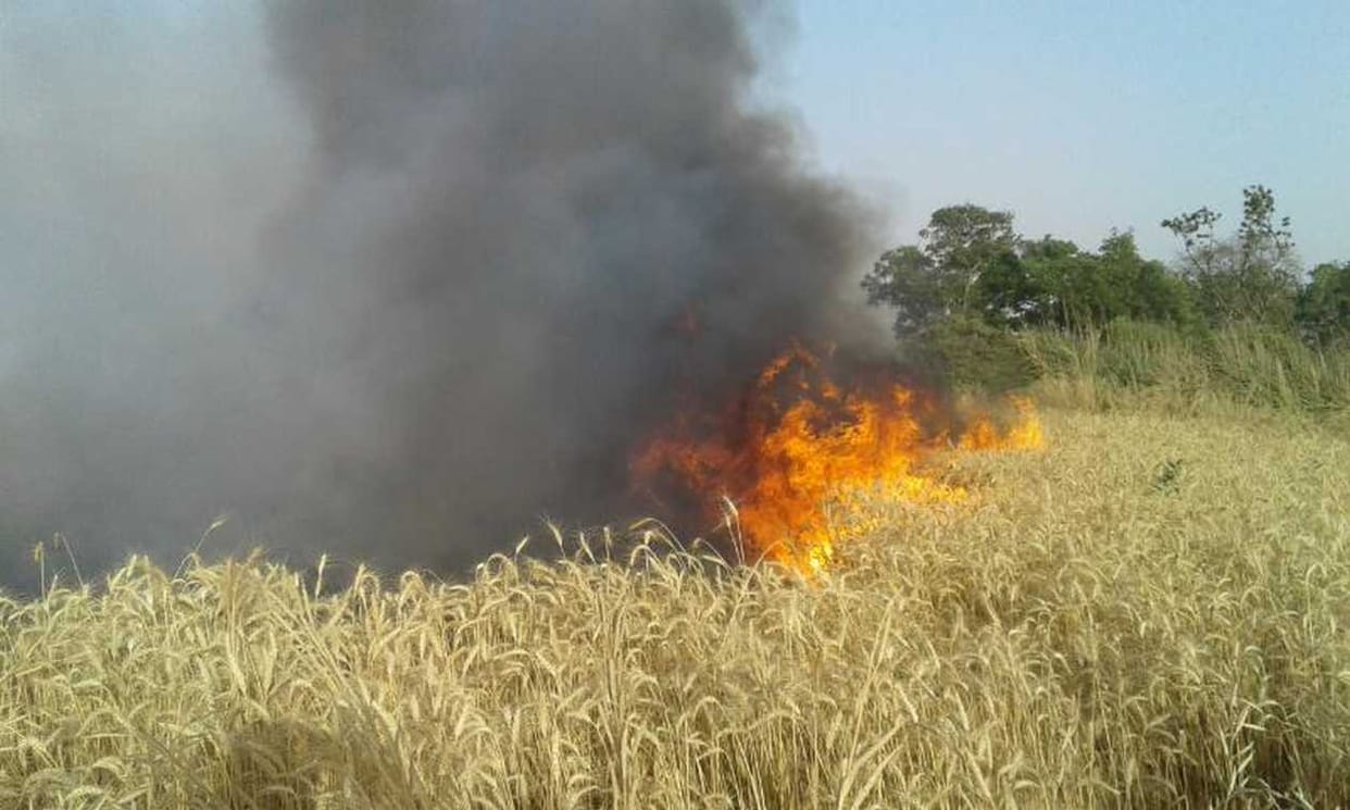 farmers are in trouble after his wheat crop burn by fire