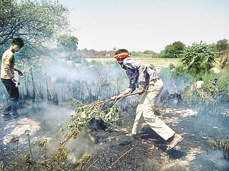 22 bigha crop ash from HT line break