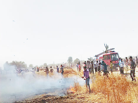 Fire accidents, 122 bigha crop ash