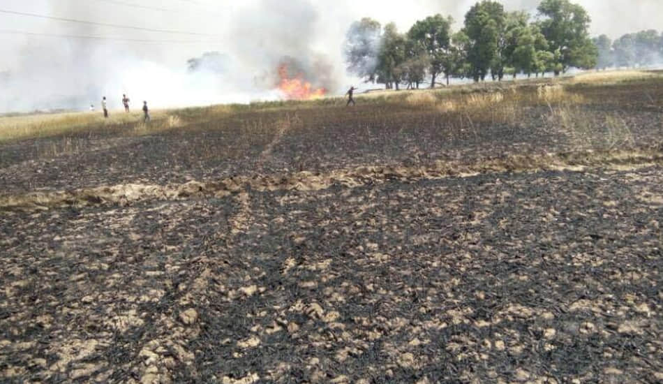 fire in corps at kanpur dehat 
