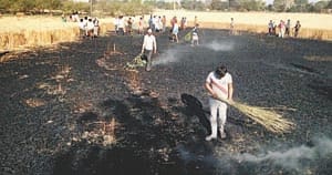 fire agriculture