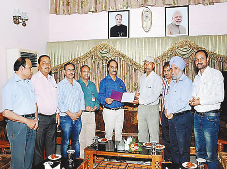 ntpc auraiya will plant 1.5 lakh plants
