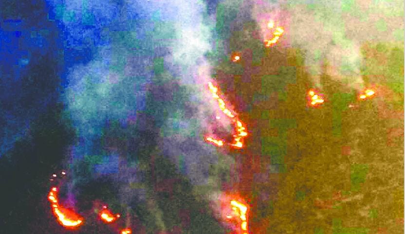 Retha Sahib's forest fire