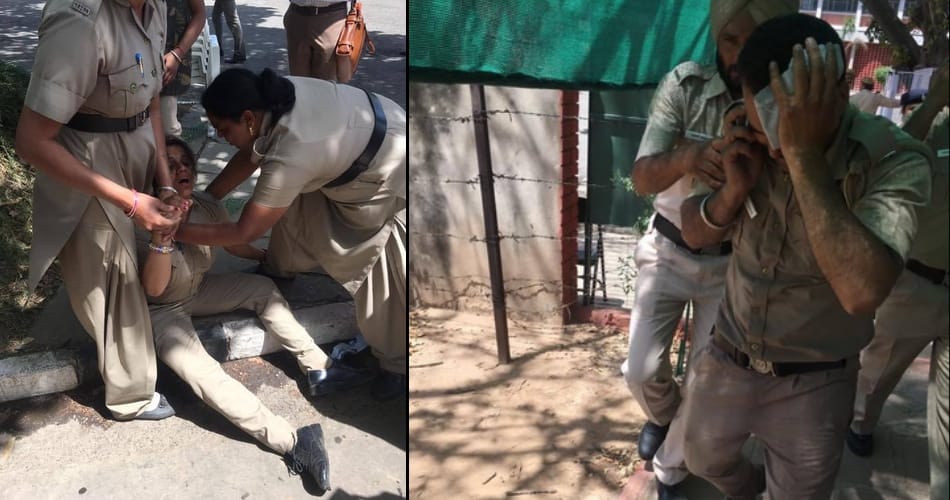 voilence by students in punjab university, many police officers injured in clash and stone pelting