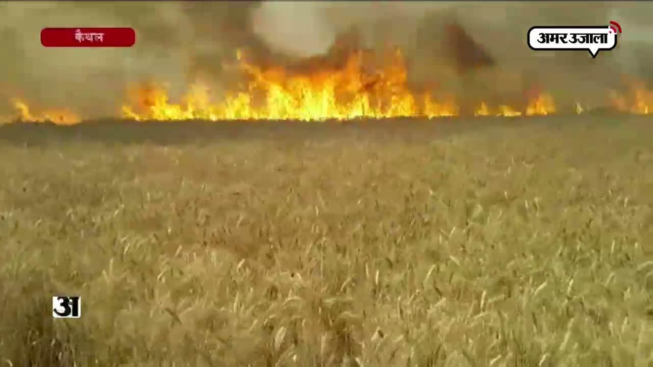 धू-धू कर जल गया गेहूं का 150 एकड़ का खेत