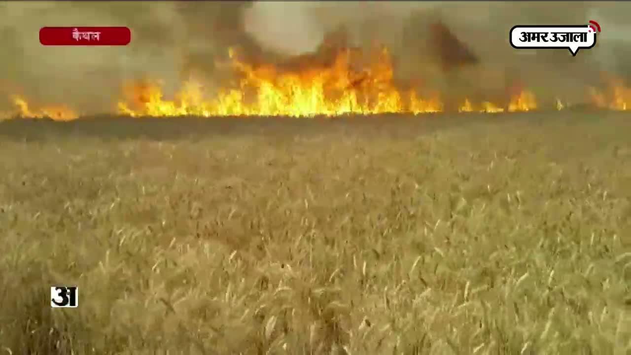धू-धू कर जल गया गेहूं का 150 एकड़ का खेत