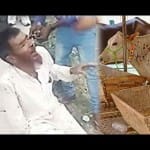 pahlu khan