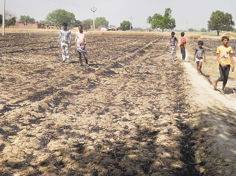 8 hectares of crop ash from spark of wire