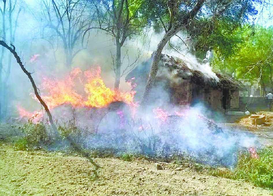 35 bigha crop and two houses ash from fire