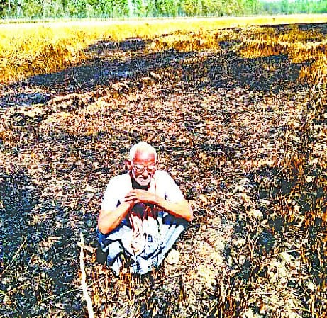 Three acres of wheat crop of two farmers from the fire