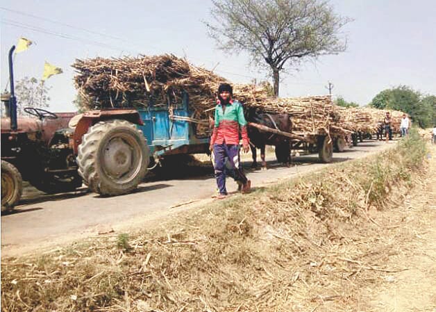 Farmers planted off the toll on the center